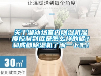 行業(yè)新聞關(guān)于溜冰場(chǎng)室內(nèi)除濕機(jī)濕度控制到底是怎么樣的呢？和成都除濕機(jī)了解一下吧！