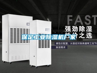 企業(yè)新聞保定工業(yè)除濕機(jī)廠家