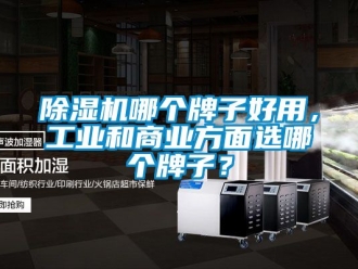 常見問題除濕機(jī)哪個牌子好用，工業(yè)和商業(yè)方面選哪個牌子？