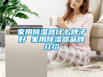 行業(yè)新聞家用除濕器什么牌子好 家用除濕器品牌介紹