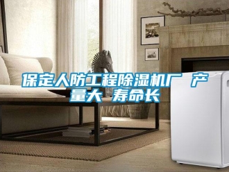 企業(yè)新聞保定人防工程除濕機(jī)廠 產(chǎn)量大 壽命長(zhǎng)
