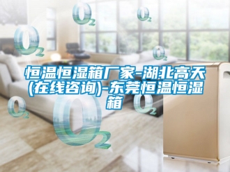 知識百科恒溫恒濕箱廠家-湖北高天(在線咨詢)-東莞恒溫恒濕箱