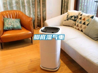 行業(yè)新聞腳底濕氣重