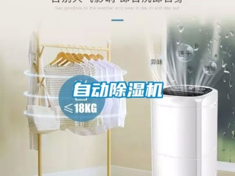 行業(yè)新聞自動除濕機(jī)