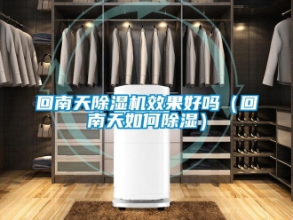 行業(yè)新聞回南天除濕機效果好嗎（回南天如何除濕）