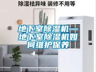 行業新聞地下室除濕機—地下室除濕機如何維護保養