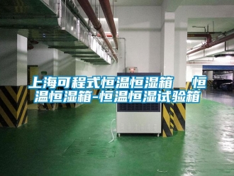 知識百科上海可程式恒溫恒濕箱  恒溫恒濕箱-恒溫恒濕試驗箱