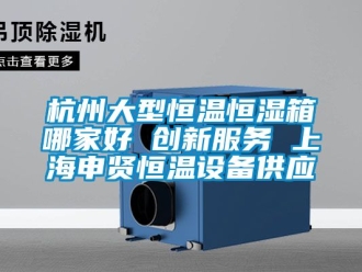 知識百科杭州大型恒溫恒濕箱哪家好 創新服務 上海申賢恒溫設備供應