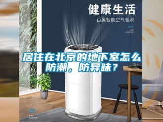 企業新聞居住在北京的地下室怎么防潮，防異味？