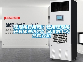 企業(yè)新聞除濕機(jī)有用嗎？使用除濕機(jī)還有哪些優(yōu)勢(shì)？除濕機(jī)十大品牌介紹