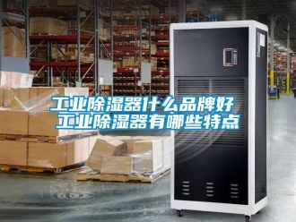 行業新聞工業除濕器什么品牌好 工業除濕器有哪些特點