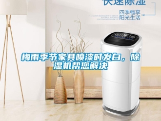 行業(yè)新聞梅雨季節(jié)家具噴漆時發(fā)白，除濕機幫您解決
