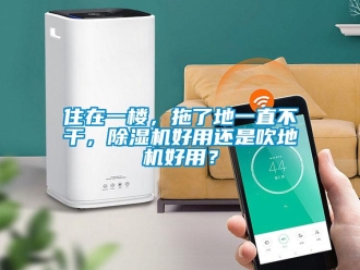 行業(yè)新聞住在一樓，拖了地一直不干，除濕機好用還是吹地機好用？