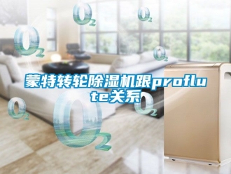 常見問(wèn)題蒙特轉(zhuǎn)輪除濕機(jī)跟proflute關(guān)系
