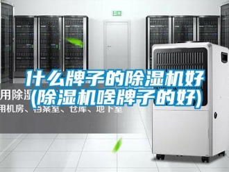 行業(yè)新聞什么牌子的除濕機(jī)好(除濕機(jī)啥牌子的好)
