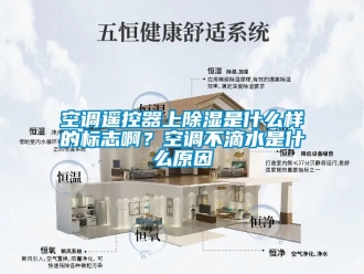 行業(yè)新聞空調(diào)遙控器上除濕是什么樣的標(biāo)志啊？空調(diào)不滴水是什么原因
