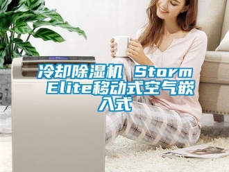 行業新聞冷卻除濕機 Storm Elite移動式空氣嵌入式