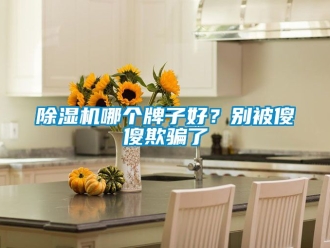 行業新聞除濕機哪個牌子好？別被傻傻欺騙了