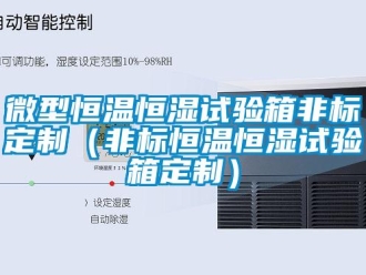 知識百科微型恒溫恒濕試驗箱非標定制（非標恒溫恒濕試驗箱定制）
