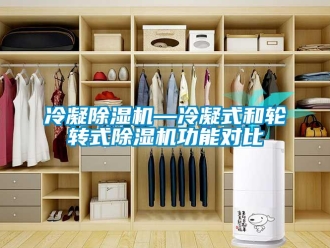 行業(yè)新聞冷凝除濕機(jī)—冷凝式和輪轉(zhuǎn)式除濕機(jī)功能對(duì)比