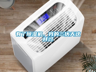 行業(yè)新聞?dòng)辛顺凉駲C(jī)，我的三伏天這樣過(guò)