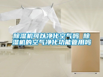 行業新聞除濕機可以凈化空氣嗎 除濕機的空氣凈化功能管用嗎