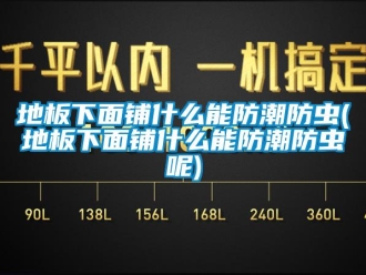 企業新聞地板下面鋪什么能防潮防蟲(地板下面鋪什么能防潮防蟲呢)
