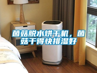 行業(yè)新聞菌菇脫水烘干機(jī)，菌菇干得快排濕好