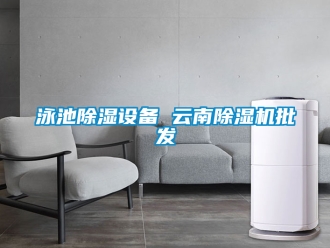行業新聞泳池除濕設備 云南除濕機批發