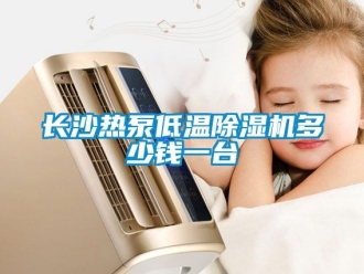 行業新聞長沙熱泵低溫除濕機多少錢一臺