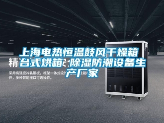 知識百科上海電熱恒溫鼓風干燥箱 臺式烘箱 除濕防潮設備生產廠家