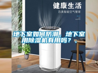 行業(yè)新聞地下室如何防潮，地下室用除濕機(jī)有用嗎？、