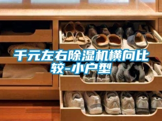 行業新聞千元左右除濕機橫向比較-小戶型
