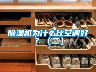 企業新聞除濕機為什么比空調好？（二）