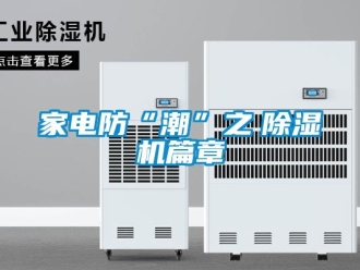 行業(yè)新聞家電防“潮”之　除濕機(jī)篇章