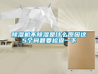企業新聞除濕機不除濕是什么原因這5個問題要檢查一下