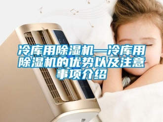 行業(yè)新聞冷庫用除濕機(jī)—冷庫用除濕機(jī)的優(yōu)勢(shì)以及注意事項(xiàng)介紹