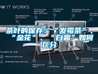 常見問題茶葉的保存：“發霉茶”、“金花”、“白霜”如何區分