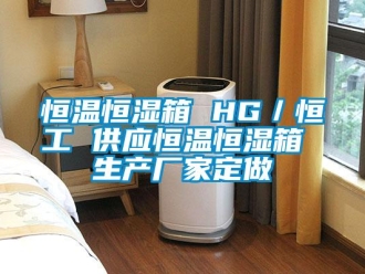 知識(shí)百科恒溫恒濕箱 HG／恒工 供應(yīng)恒溫恒濕箱 生產(chǎn)廠(chǎng)家定做