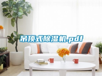 行業新聞吊頂式除濕機.pdf