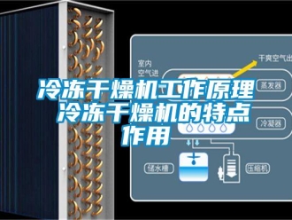 行業(yè)新聞冷凍干燥機(jī)工作原理 冷凍干燥機(jī)的特點(diǎn)作用