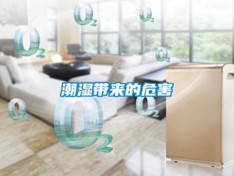 企業新聞潮濕帶來的危害