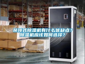 行業(yè)新聞吊頂式除濕機(jī)有什么優(yōu)缺點(diǎn)？除濕機(jī)應(yīng)該如何選擇？