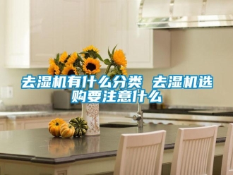 行業新聞去濕機有什么分類 去濕機選購要注意什么