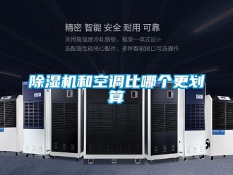 常見問題除濕機和空調比哪個更劃算