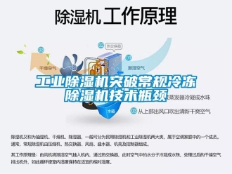 企業新聞工業除濕機突破常規冷凍除濕機技術瓶頸