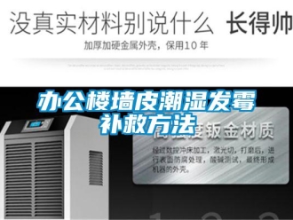 企業新聞辦公樓墻皮潮濕發霉補救方法