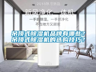 企業新聞吊頂式除濕機品牌有哪些？吊頂式除濕機的選購技巧？