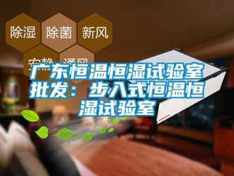 知識百科廣東恒溫恒濕試驗室批發：步入式恒溫恒濕試驗室