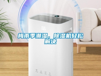 行業新聞梅雨季潮濕，除濕機輕松解決